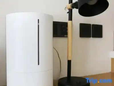 Le Joy - 43