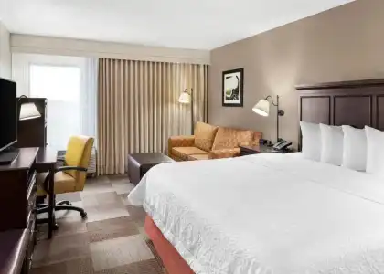 Hampton Inn Dallas-Irving-Las Colinas - 71
