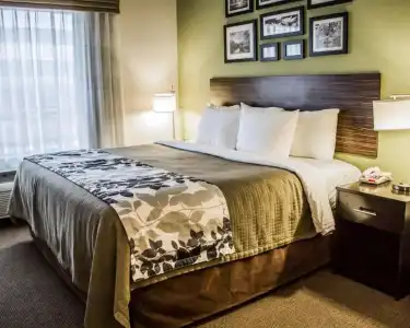 Express Inn & Suites - 37
