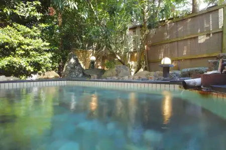 Fujiya Ryokan - 16