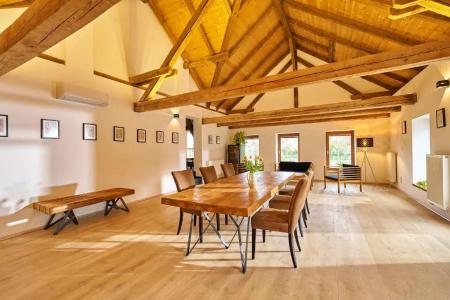 Ryzlink - 100