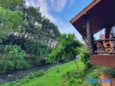 Khaosok Rainforest Resort - 129