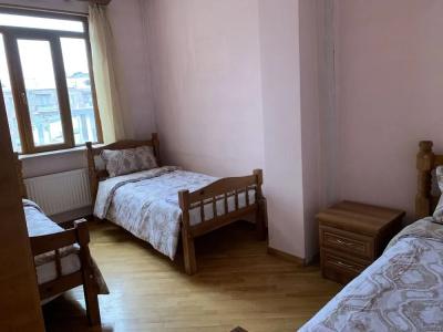 Lotus Hostel - 1