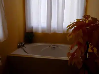 Hi - Scene Resort - 7