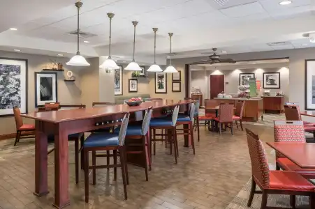 Hampton Inn Branson - Branson Hills - 21