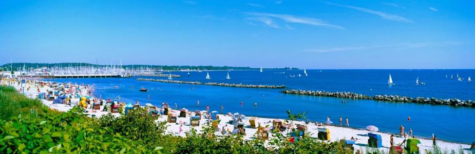 Birke, RingKiel - 21