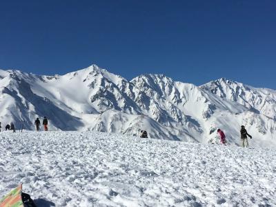 Hakuba Pension & Log Meteor - 6