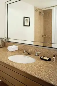 Sheraton Virginia Beach Oceanfront - 98