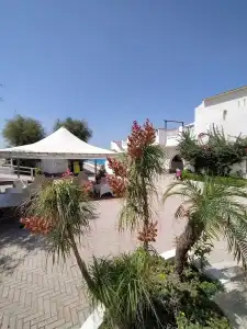 Villaggio Agrumeto - 37