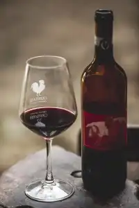 Casafrassi Wine Resort - 50
