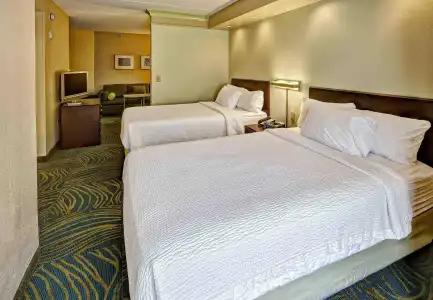 SpringHill Suites Marriott Norfolk Old Dominion University - 20