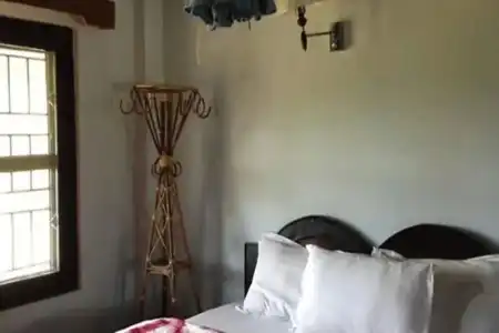 Wildlife Adventure Resort - 18