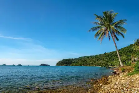 Lonely Beach Pool Resort - 11