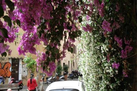 B&B Ventisei Scalini a Trastevere Guest House - 104