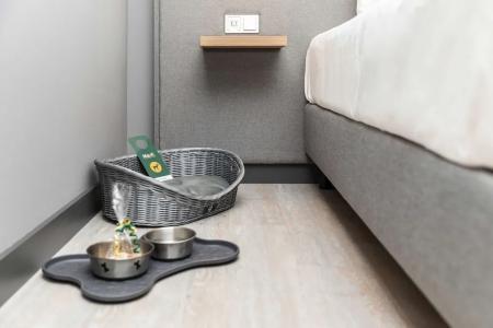 Piazza und Restaurant - 57