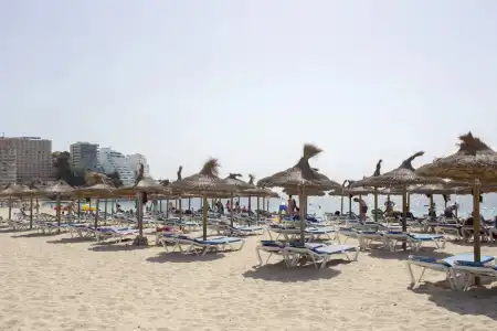 Magalluf Playa Apartments - Adults Only - 14