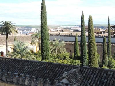 Boutique Caireles - 65