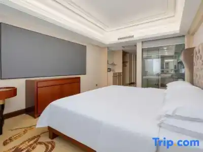 Vienna Dongguan Humen Wanda Plaza - 34
