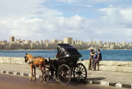 Four Seasons Alexandria at San Stefano - 18