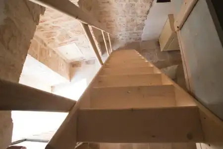 Trullidea  - 79