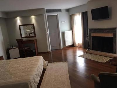 Ellinon Thea Arachova - 73
