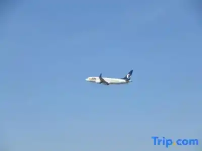 Dalian International Airport - 42
