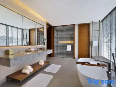 The St. Regis Downtown, Dubai - 79