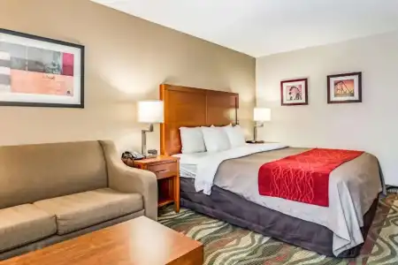 Comfort Inn & Suites Chattanooga West - Lookout Mountain - 36