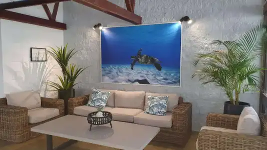 Best Western Colonial Palms Motor Inn - 9