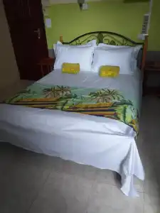 Tyvabro Guesthouse - 47
