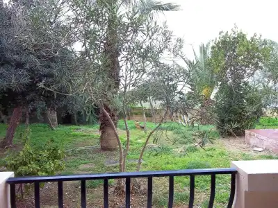 San Antonio Guest House - 24