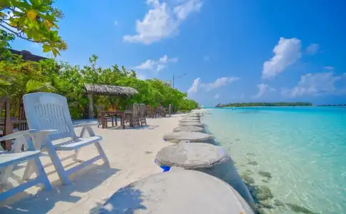 Rashu Hiyaa - 24