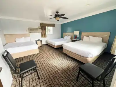 Viking Motel-Ventura - 29