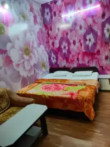 Raj Bed & Breakfast - 47