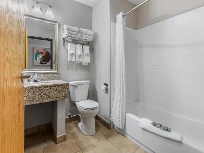 Best Western Ambassador Inn & Suites - 81