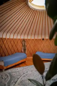 Rahmat Yurts - 25