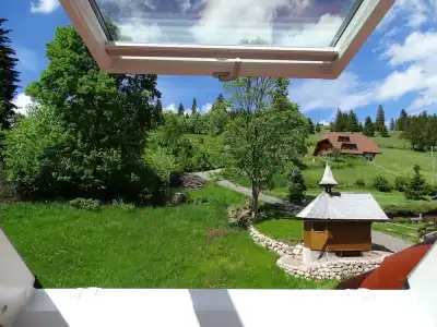 Schwarzwald-Pension Kräutle - 28