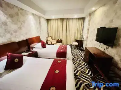 Shangtex - 51