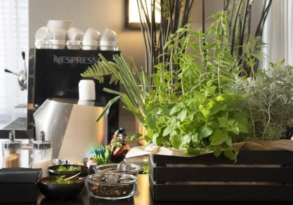 Vital - Urban boutique TLV - 21