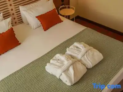 Mercure Arles Centre Arenes - 80