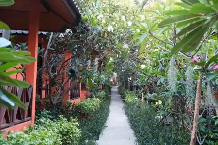 AC Resort - 16