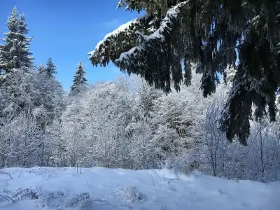 Panorama Pamporovo - 26