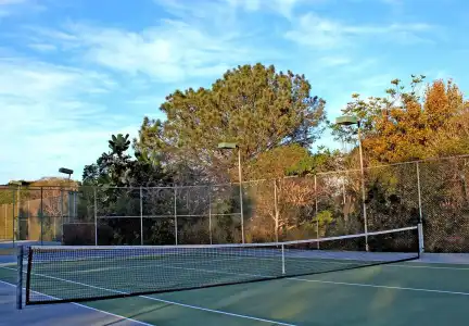 Paradise Point Resort & Spa - 18