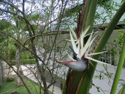 Chalets Bougainville - 131