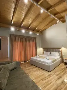 Arial Penthouse Suites - 157