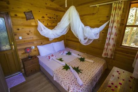 Fullmoon Camping - 25