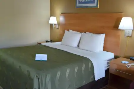 Quality Inn Bowling Green South - 31