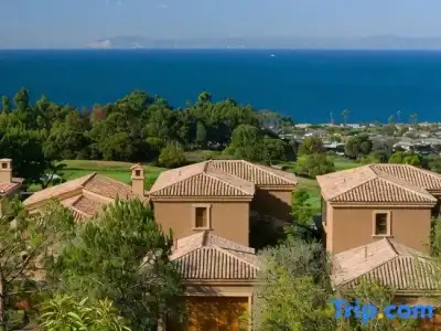 The Resort at Pelican Hill - 134