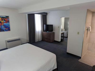 Best Western Plus Toronto Airport - 2