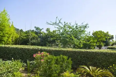 Villa Sarah - 92